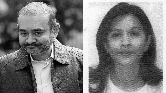 Nirav Modi's Sister Purvi Modi Seeks Video Conference Testimony in PNB Fraud Case
