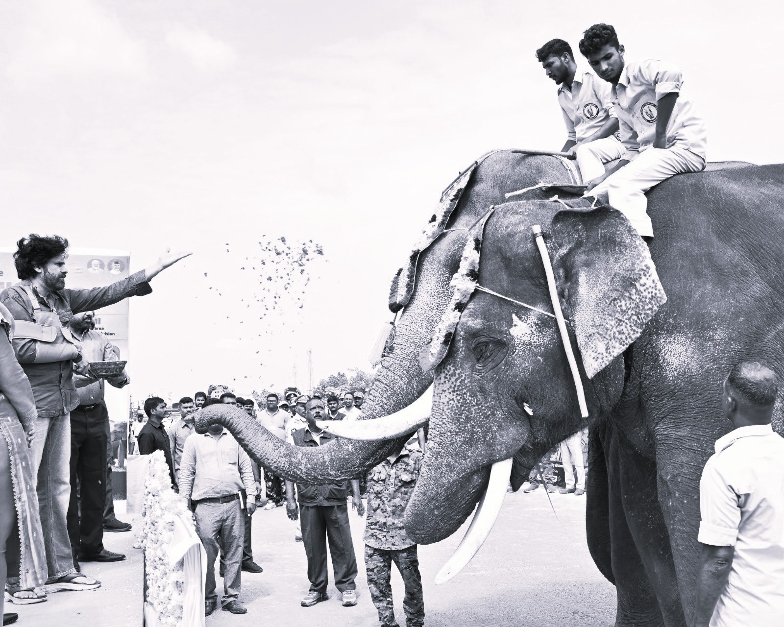 మంగళగిరిలో ‘కుంకీ’ ఏనుగులకు స్వాగతం పలికిన డిప్యూటీ సీఎం పవన్ కళ్యాణ్