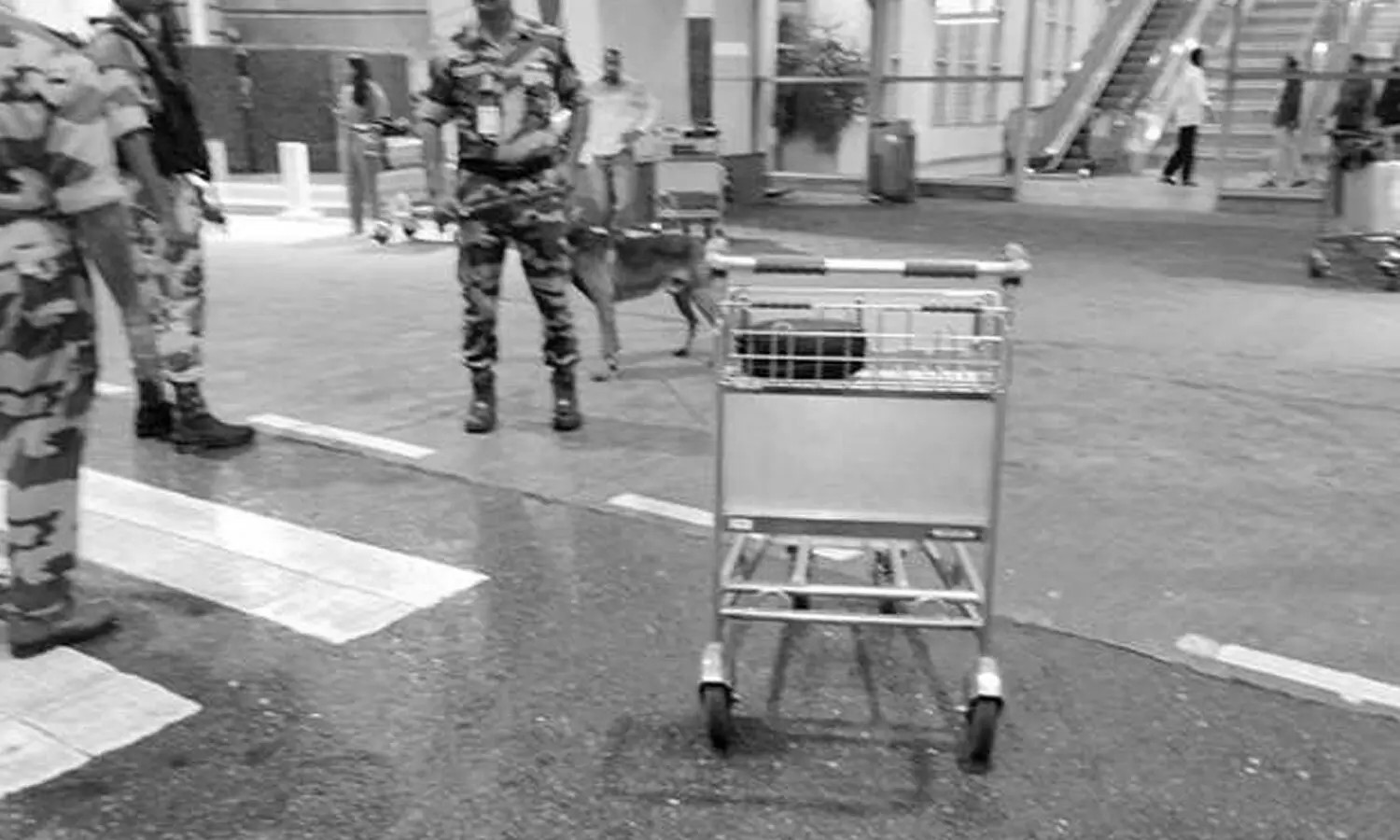 CISF, Mangaluru Airport Staff Reunite Passenger With Purse Carrying USD 10,000 and Valuables