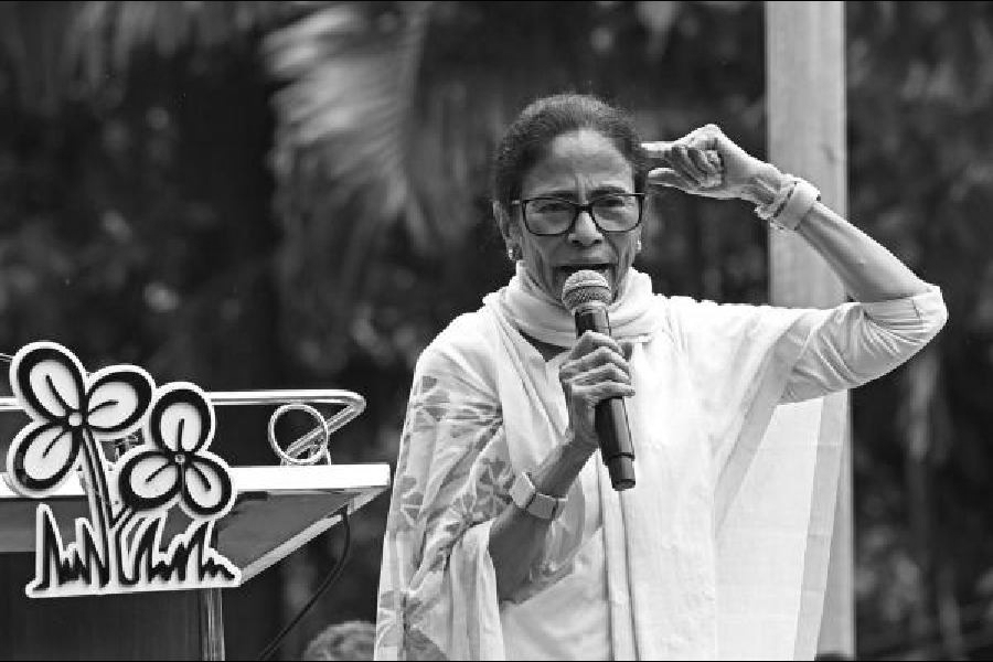 TMC Rift Deepens as Rival Camps Plan Parallel TMCP Programmes