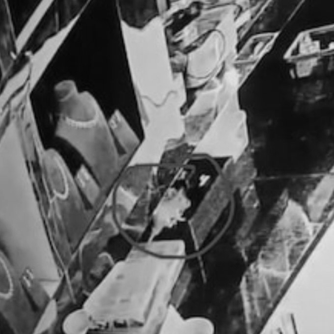 When a Rat Pulled Off a Gold 'Heist': CCTV Footage Solves Strange Case