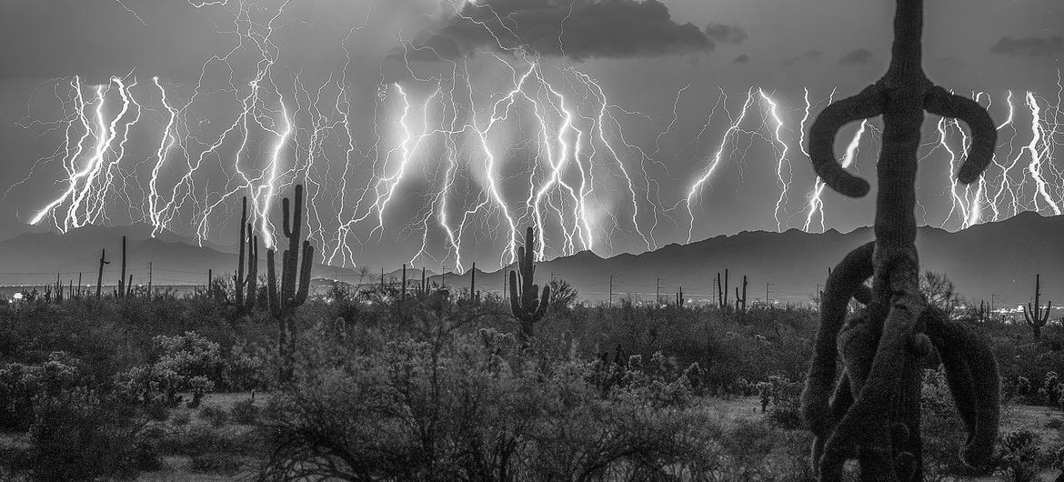 World Meteorological Organization Issues Strong El Niño Alert, Forecasts Extreme Weather