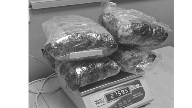 Customs Seize 2.7 Kg Suspected Hydroponic Weed Hidden in Chocolate Packets at Delhi Airport