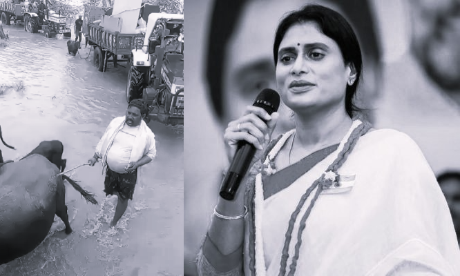 Provide Immediate Rehabilitation to Godavari Flood Victims: YS Sharmila