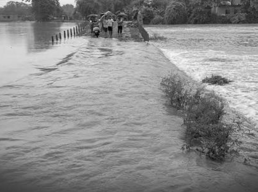 Odisha Floods: 8 Lakh People Affected As Hirakud Releases Water, Livestock, Crops Damaged