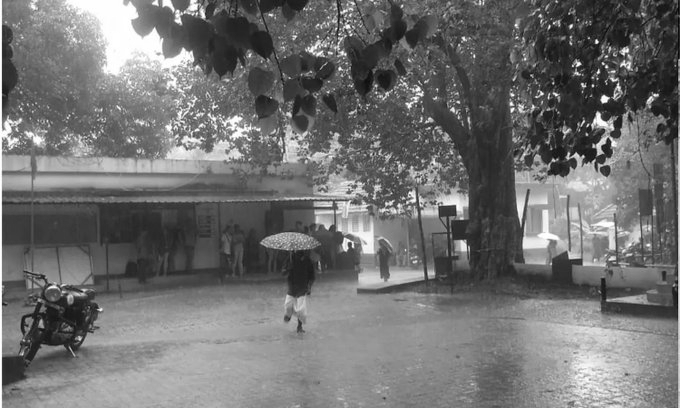 Heavy Rain Batters Kerala, Eight Districts Under Red Alert as Rivers Swell