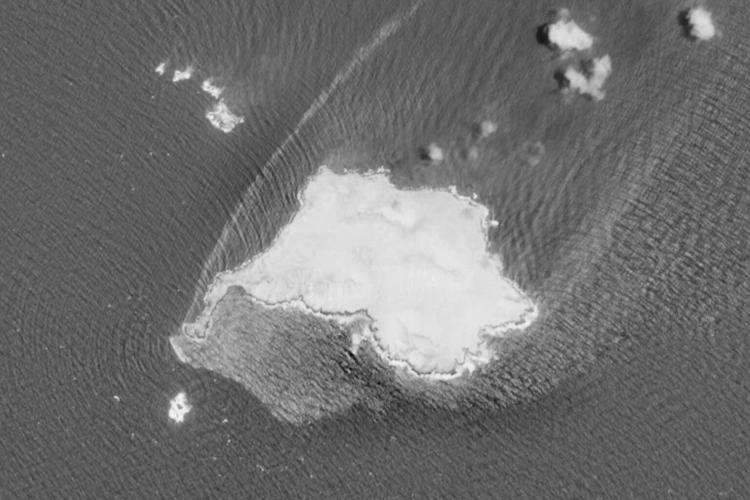 Environmental Alarm as Oil Slick Spreads Across Protected Waters Off Oman