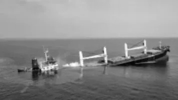 Indian Cargo Ship Sunk In Red Sea In The Widening US-Iran Conflict, All Onboard Rescued