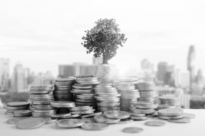 Vasuki India Secures ₹100 Crore NRI Investment, Eyes Bigger Fund Raise by December