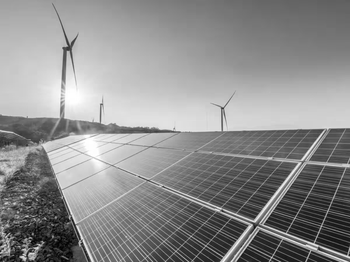 MHA bars new renewable energy projects within 1 km of international borders