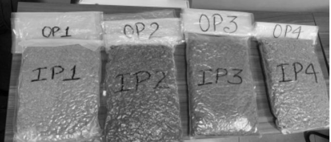 4.03 Kg Hydroponic Ganja Seized at Chennai Airport, Malaysian National Arrested