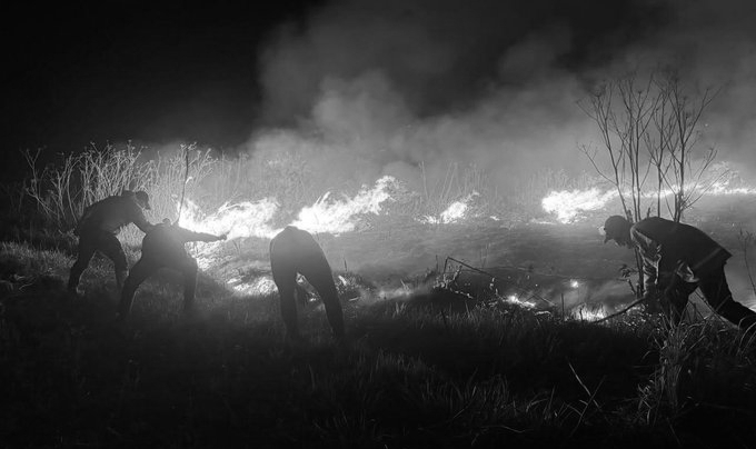 Indonesia Wildfires: Mount Bromo Blaze Nears 900 Hectares As Haze Forces School Closures