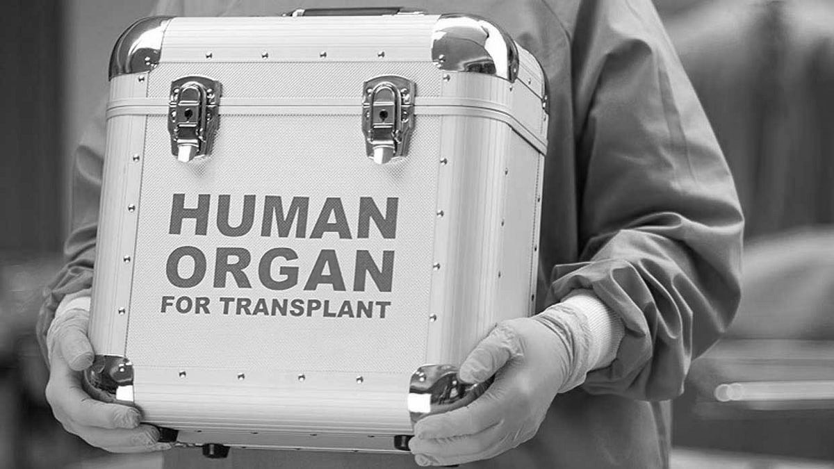 Organ Trafficking ‘Crime Against Humanity’: Kerala HC Flags Wider Criminal Network