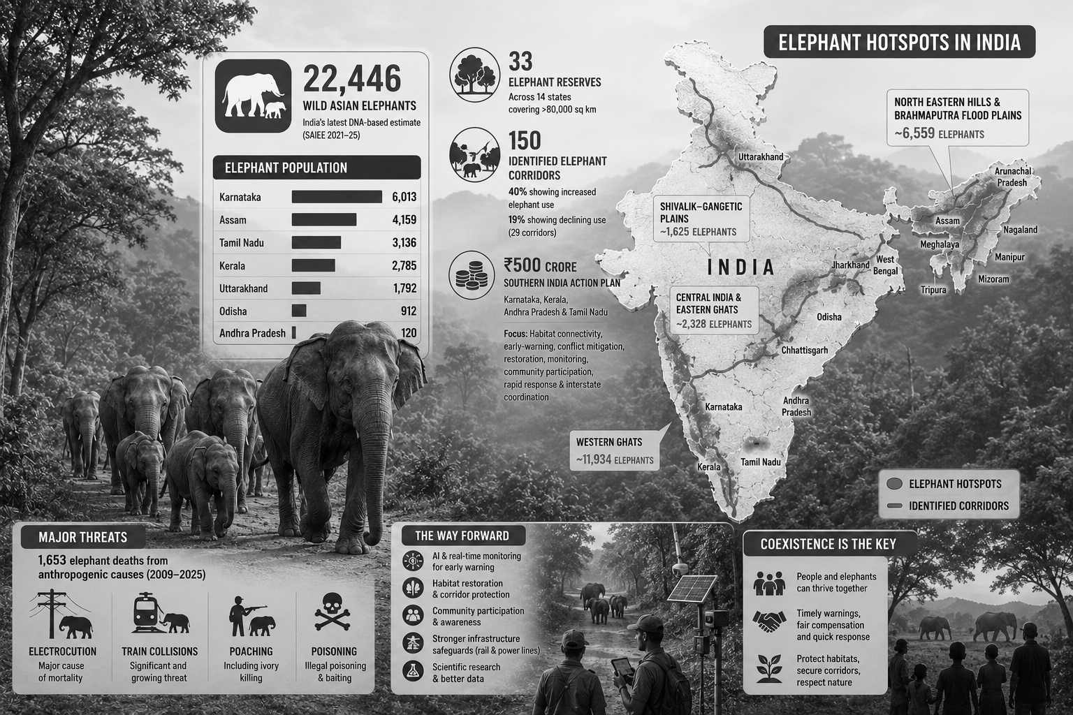 22,446 Elephants, 150 Corridors: India’s New Conservation Challenge