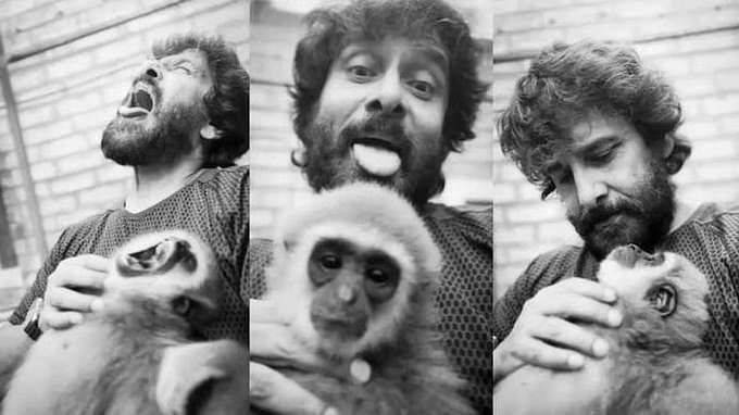 Actor Vikram’s Deleted Video Raises Wildlife Mystery: How Did Endangered Gibbons Reach Chennai?