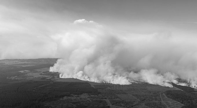 Belgium Battles Biggest Wildfire On Record As Blaze Heads Towards German Border