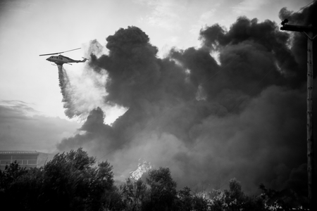 Belgium Battles Biggest Wildfire On Record As Blaze Heads Towards German Border