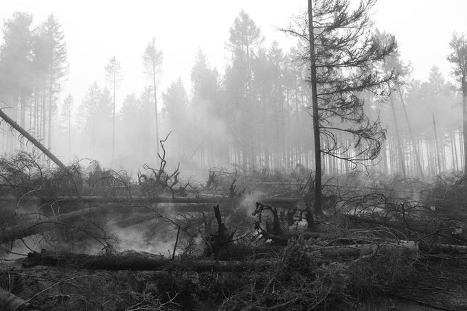 Belgium Battles Biggest Wildfire On Record As Blaze Heads Towards German Border