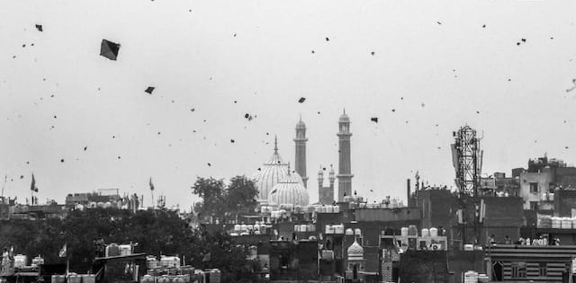 Kite Strings Turn Deadly for Birds as 17 Incidents Reported in Delhi on I-Day