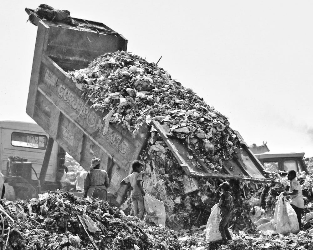 NGT Slams Punjab Pollution Control Board Over Rs 8.4 Crore Jalandhar Waste Fine