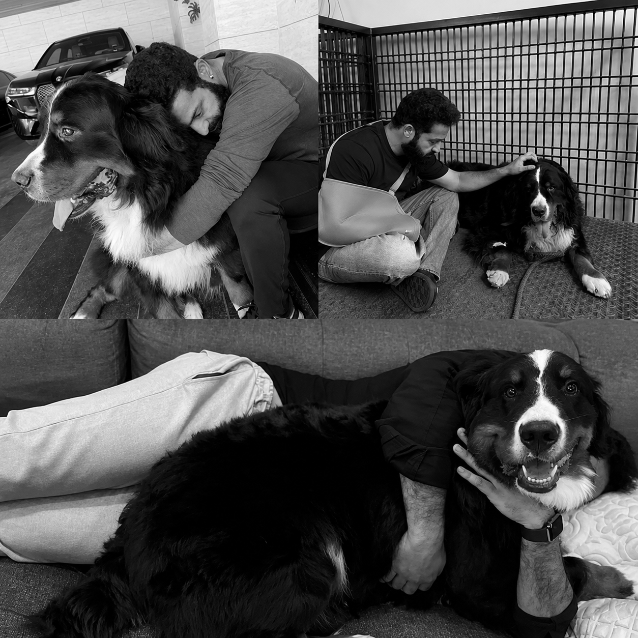 Jr. NTR Mourns Death Of Four-Year-Old Pet Dog Bagheera