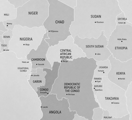 Over 100 Dead After Gold Mine Collapse In Central African Republic Near Cameroon