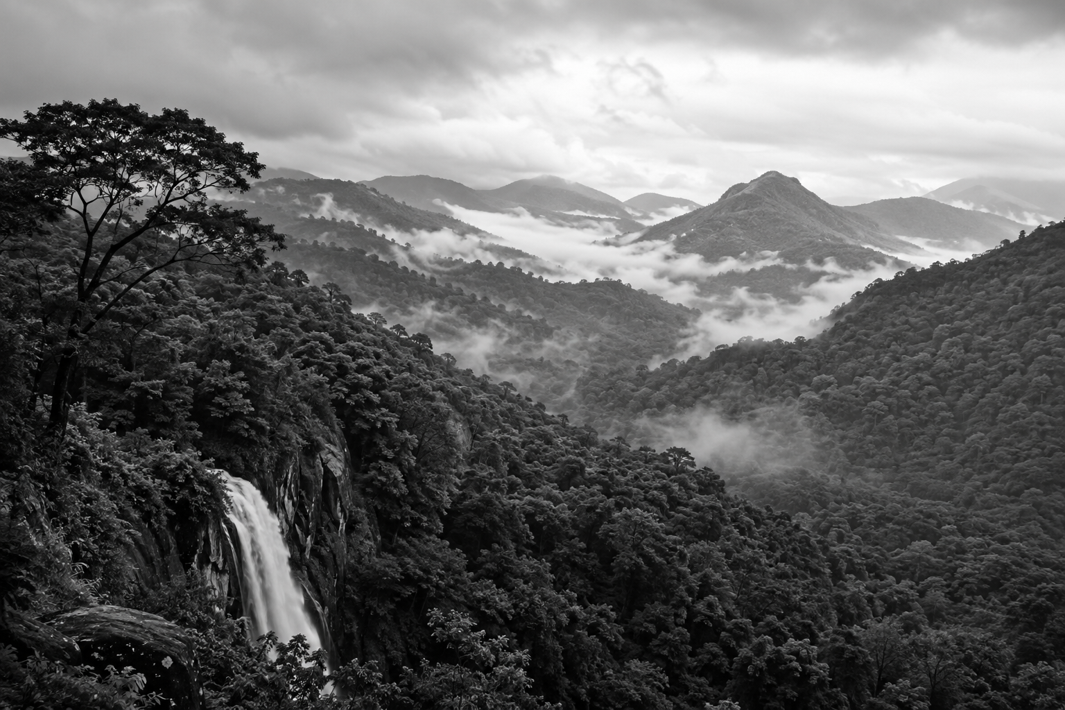 Karnataka Reviews Centre’s Proposal to Declare 20,668 Sq Km of Western Ghats ESA