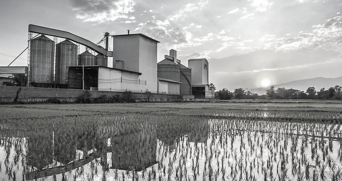 India’s ₹3,080-Crore Bioplastic Bet: Can Sugarcane Really Take On Conventional Plastic?