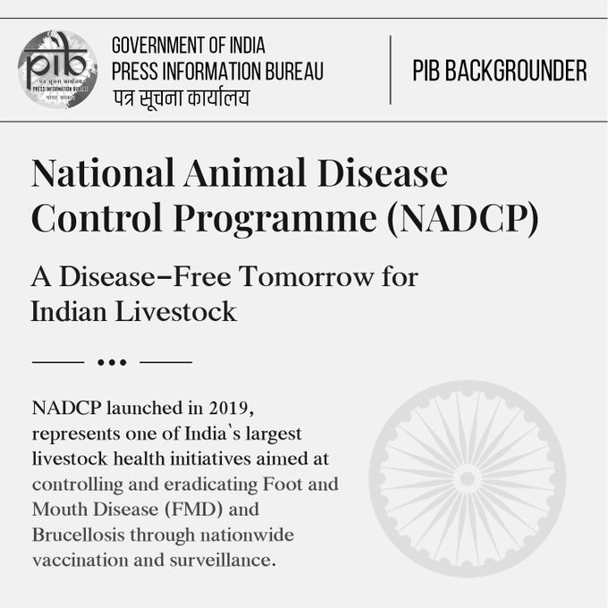 FMD Outbreaks Fall 70% Since 2019 Under India’s Livestock Health Programme