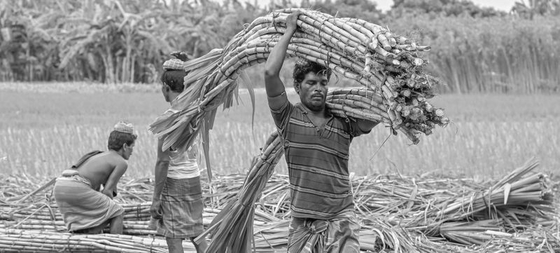 Enough Sugar on Paper, Rising Prices in Markets: The Puzzle Behind India’s Sugar Spike