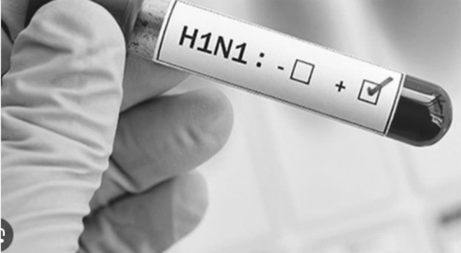 Karnataka Reports 4,212 H1N1 Cases, Health Minister Says No Need for Panic