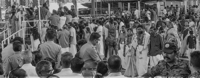Guruvayur Temple Sets Record With 416 Weddings in Seven Hours