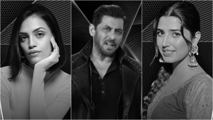 Salman Khan’s Bigg Boss 20 Gets Major Twist: Fans To Pick Rhiya Ahir Or Love Gill