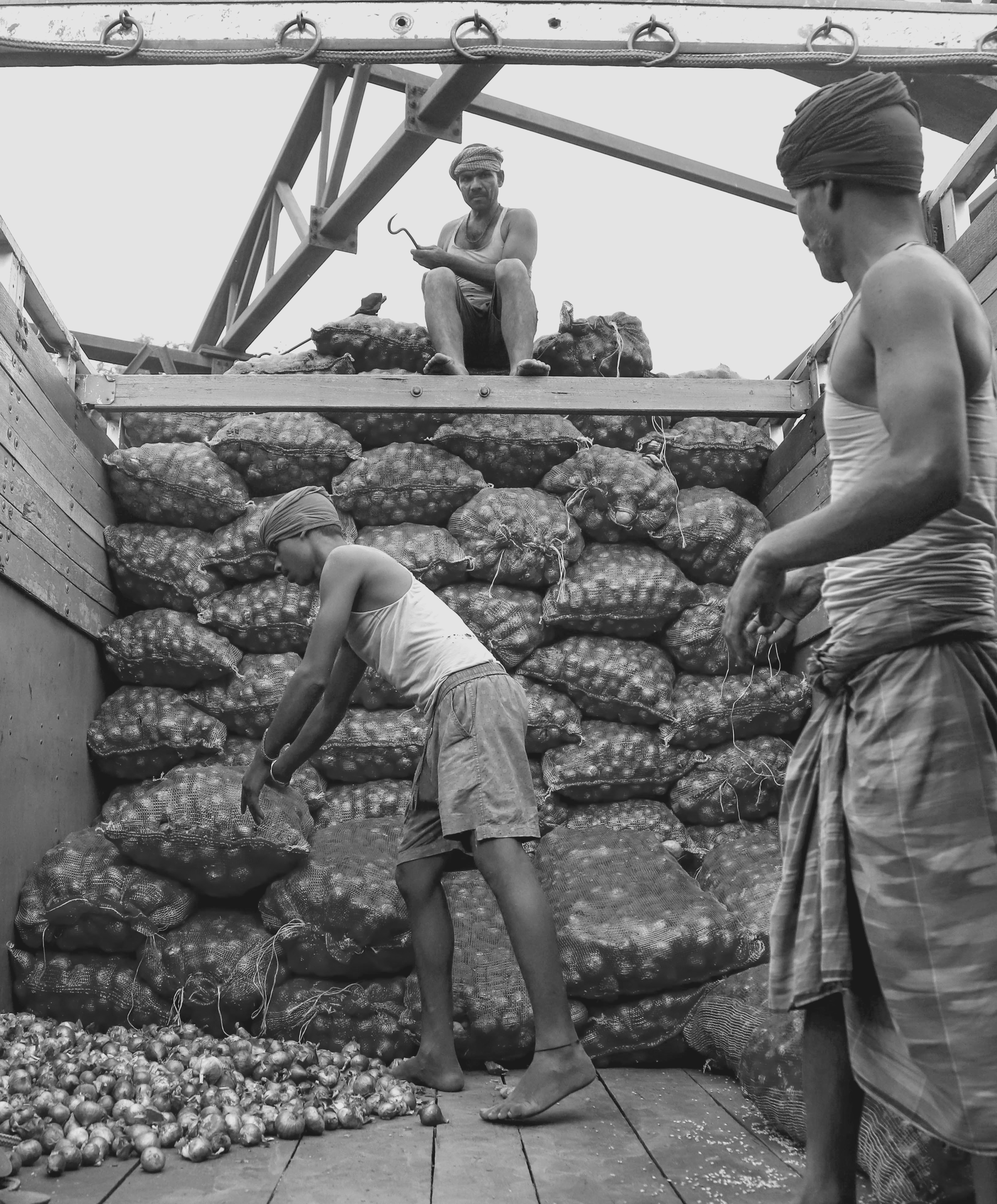 Centre Sells Buffer Onions at ₹35/kg in Delhi-NCR to Curb Price Rise