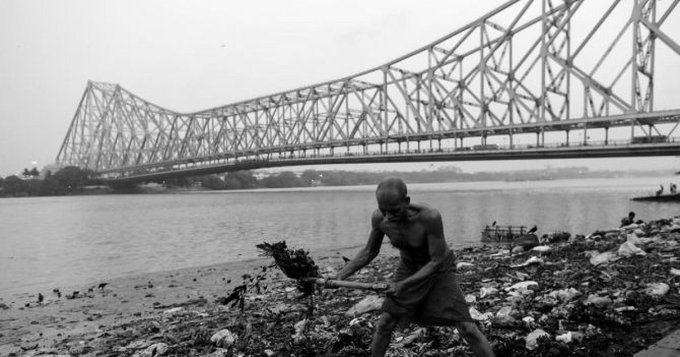 Triveni Sangam Emerges as Unique Microbial Laboratory, Says New Book