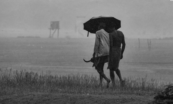 Monsoon Deficit Deepens in 11 Jharkhand Districts, Pakur Shortfall at 54%
