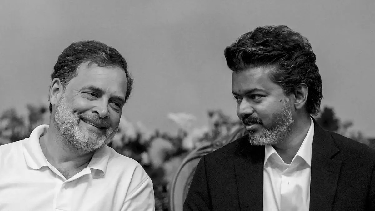 “Back Rahul Or We Quit”: Cong Ministers Warn TVK As Vijay’s PM Push Grows