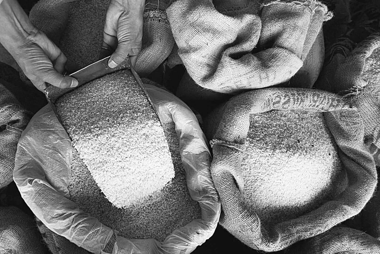 ₹28.49-Crore Rice Row: How Subsidised Grain Meant for Labourers Allegedly Reached Traders