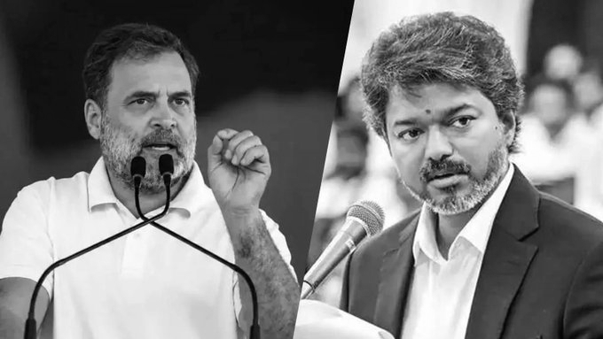 Vijay for PM in 2029? Congress Calls It ‘Fan Mindset’, Reaffirms Rahul Gandhi