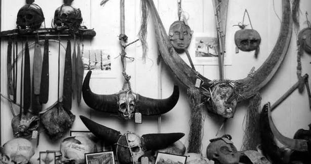 Oxford Museum To Return 39 Naga Ancestral Remains Taken During Colonial Rule