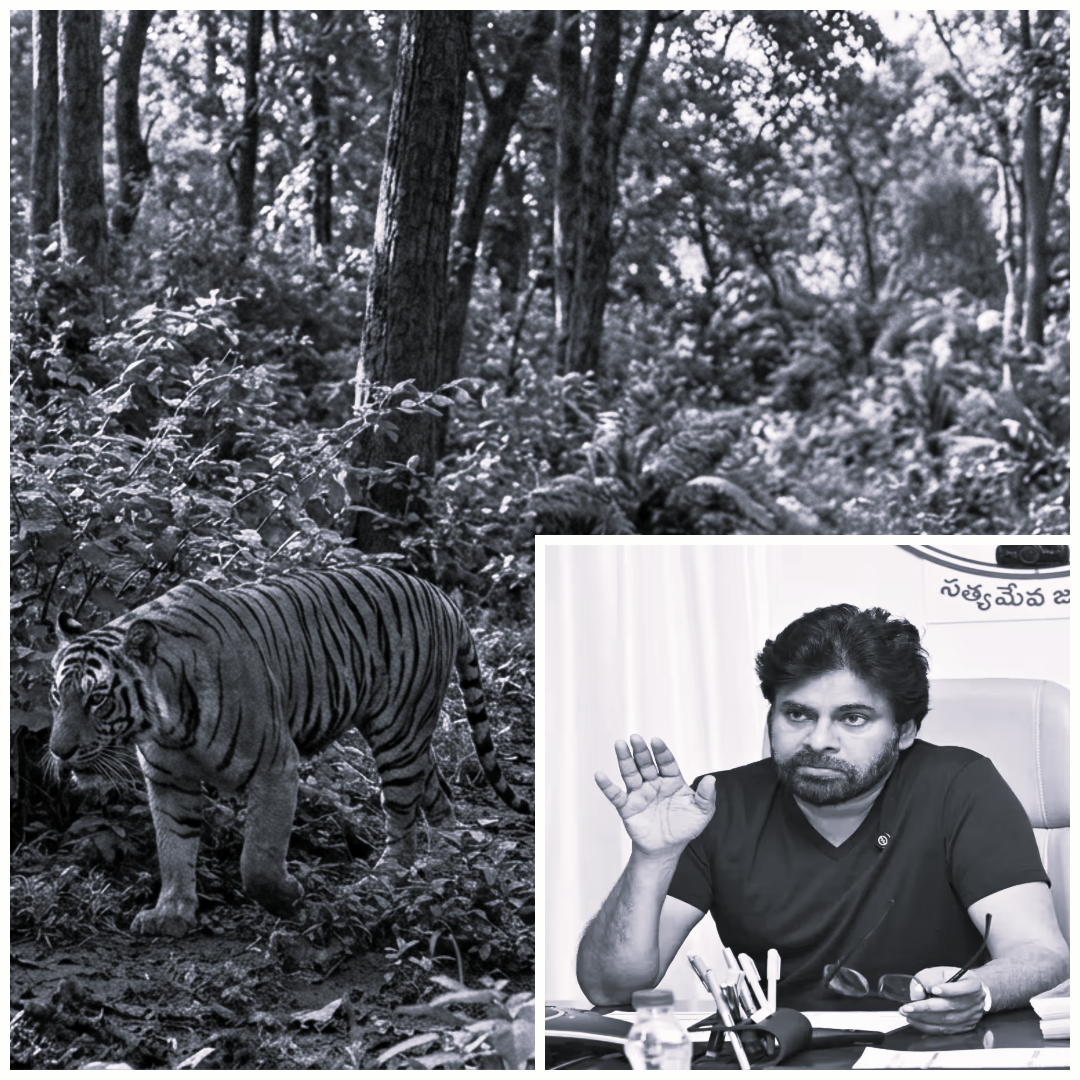 కాకినాడ జిల్లాలో పులి సంచారంపై పవన్ కళ్యాణ్ సమీక్ష