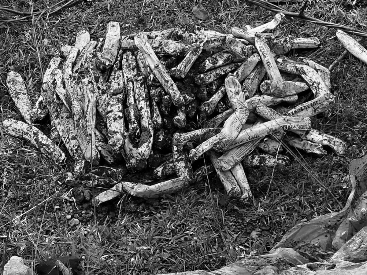 250 Gelatin Sticks Recovered From Suspected Naxal Hideout In Bihar’s Jamui