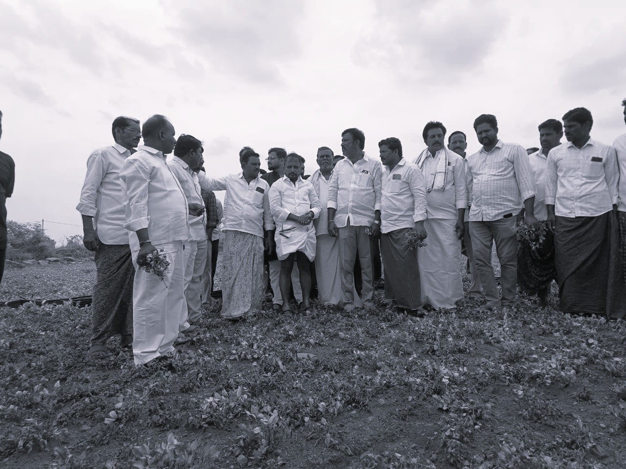 Farmers Seek Immediate Relief as Crops Dry Up in Anantapur