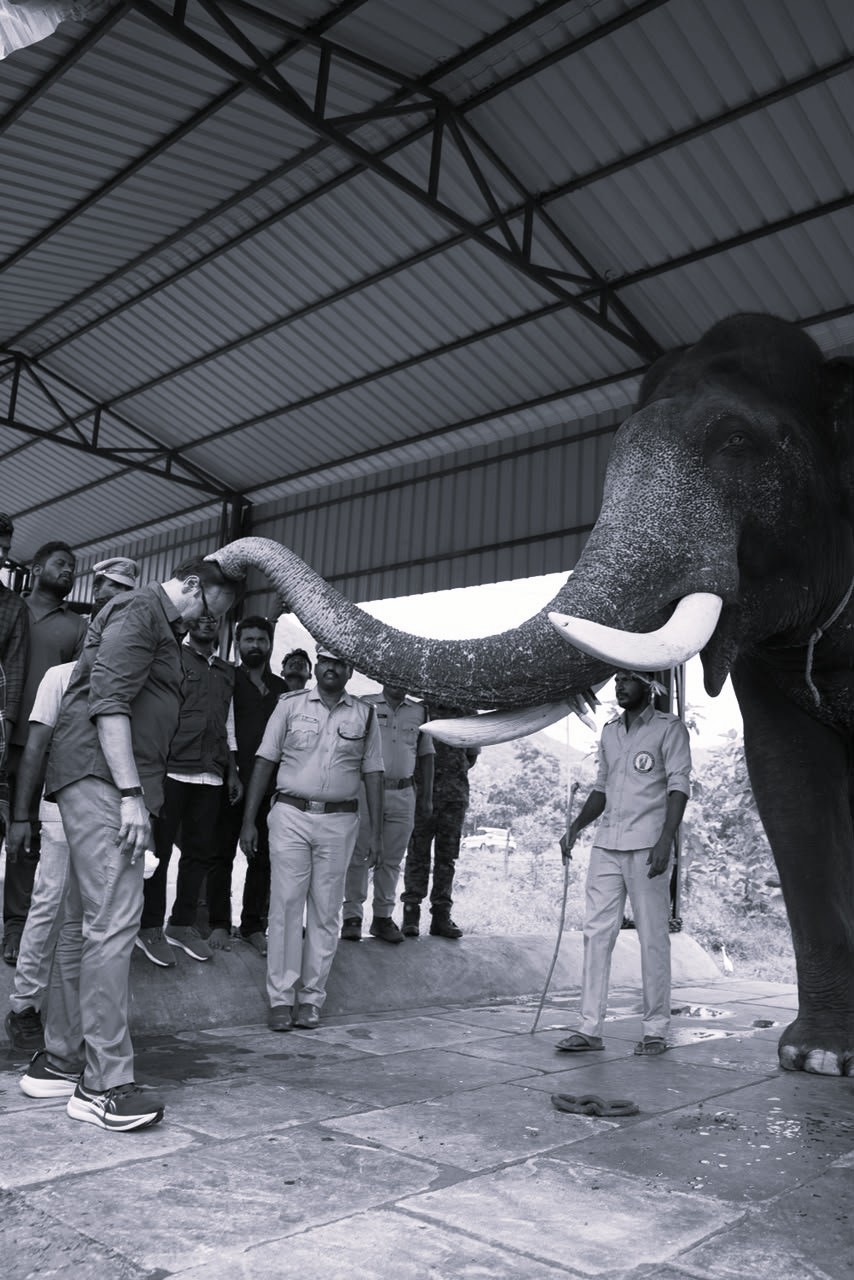 Nagababu Reviews Elephant Conservation Efforts at Guchimi