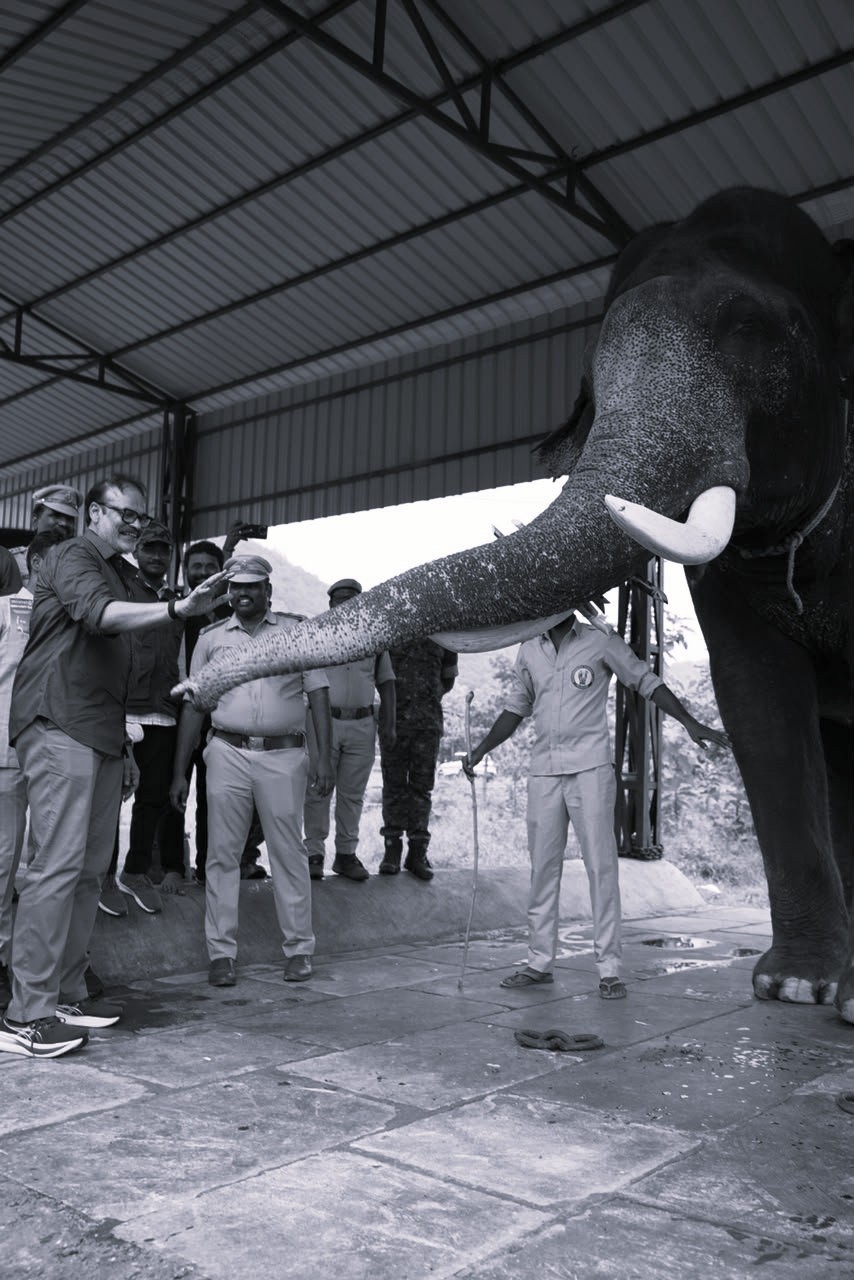 Nagababu Reviews Elephant Conservation Efforts at Guchimi