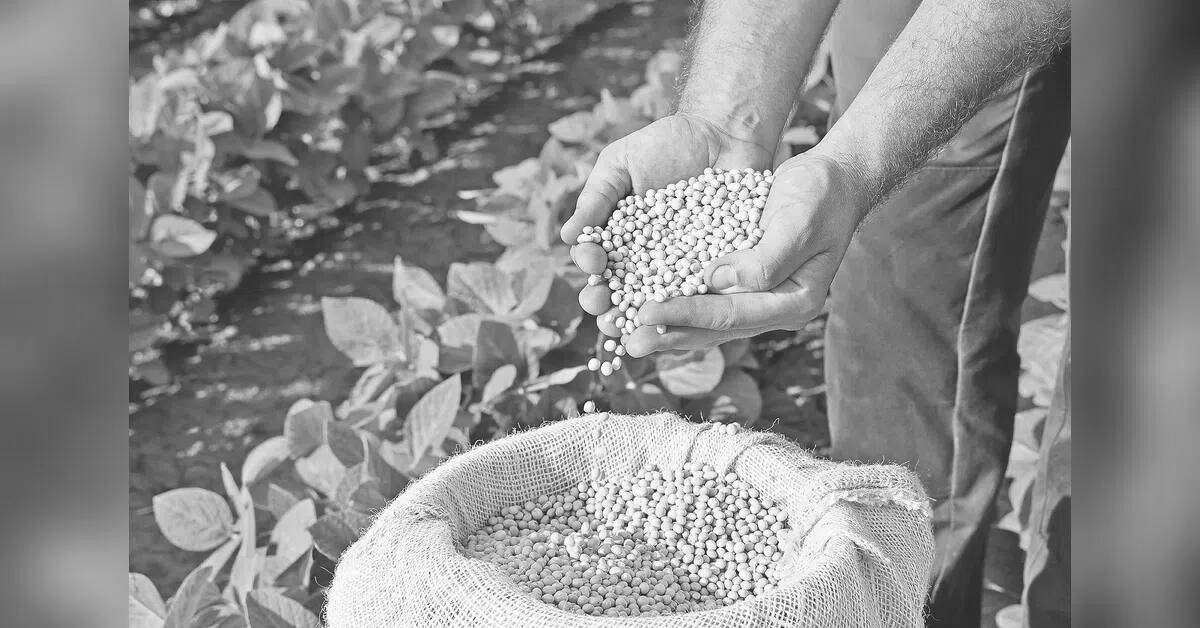 Soybean Productivity in Focus as 350+ FPOs Discuss Lower Costs and Better Market Access