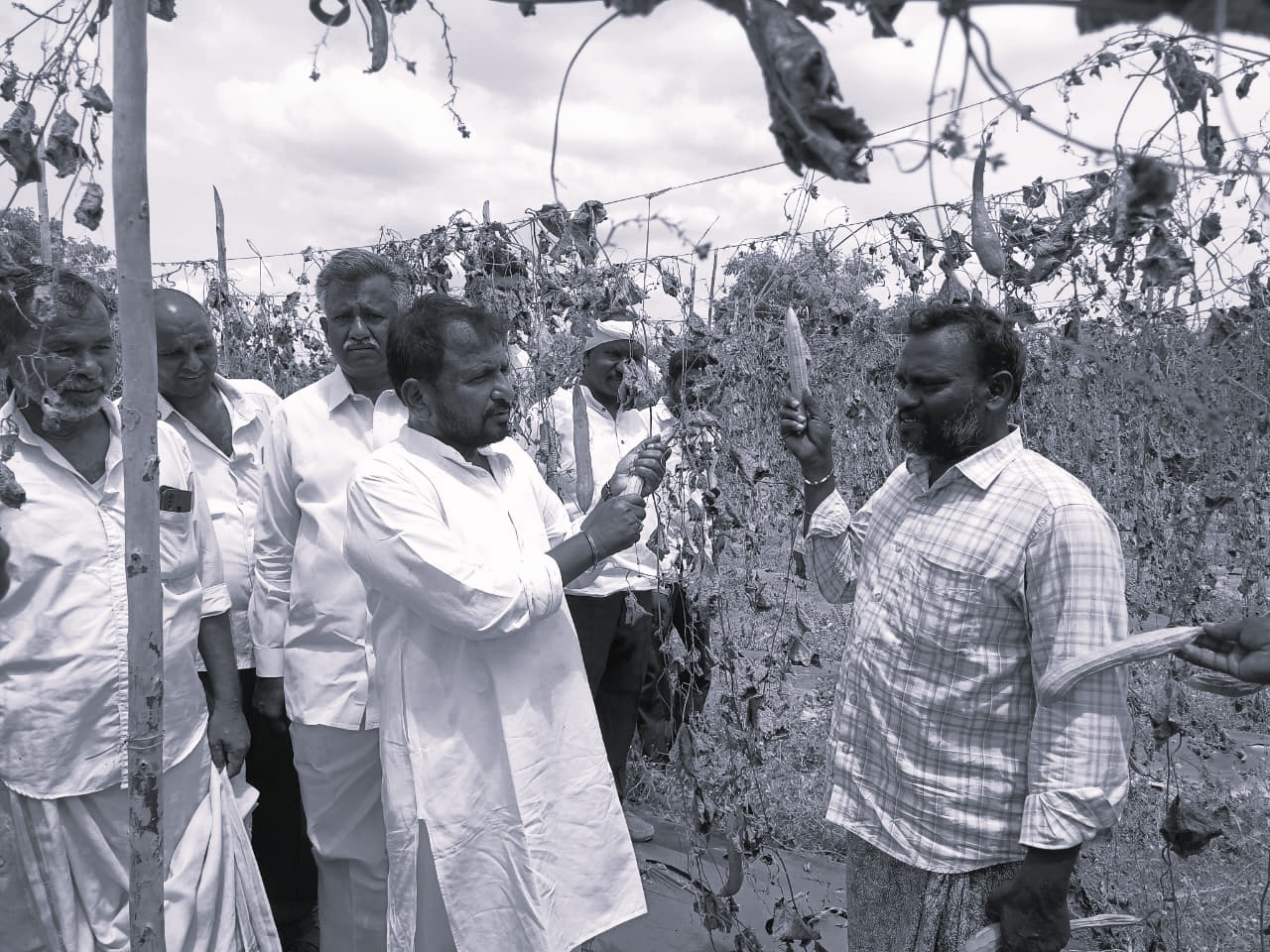 Crops Wither in Anantapur, Shailajanath Slams Govt Over Farmer Distress
