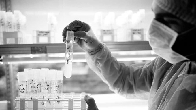 Goldman Sachs, Hisaria Group Participate in Lord’s Mark Industries Share Transactions