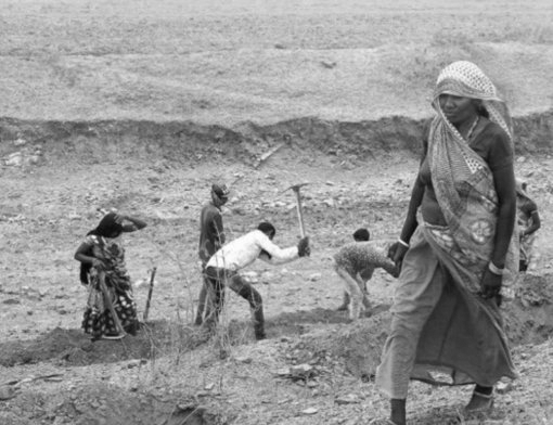 9.56 Crore Rural Workdays Lost, Claims SKM, Demands 200-Day MGNREGA Guarantee