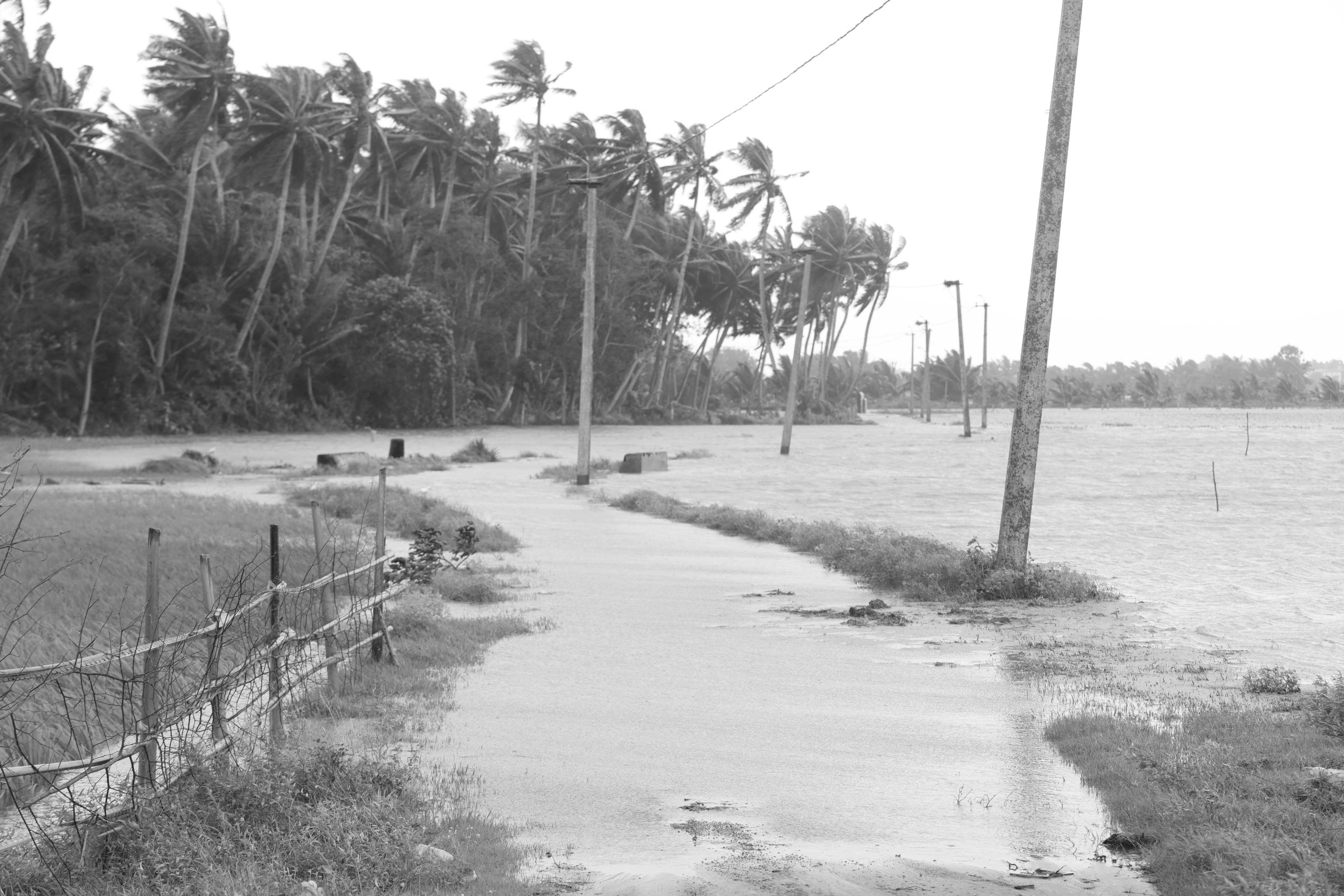 Vamsadhara, Nagavali Swell as Heavy Rains Lash North Andhra